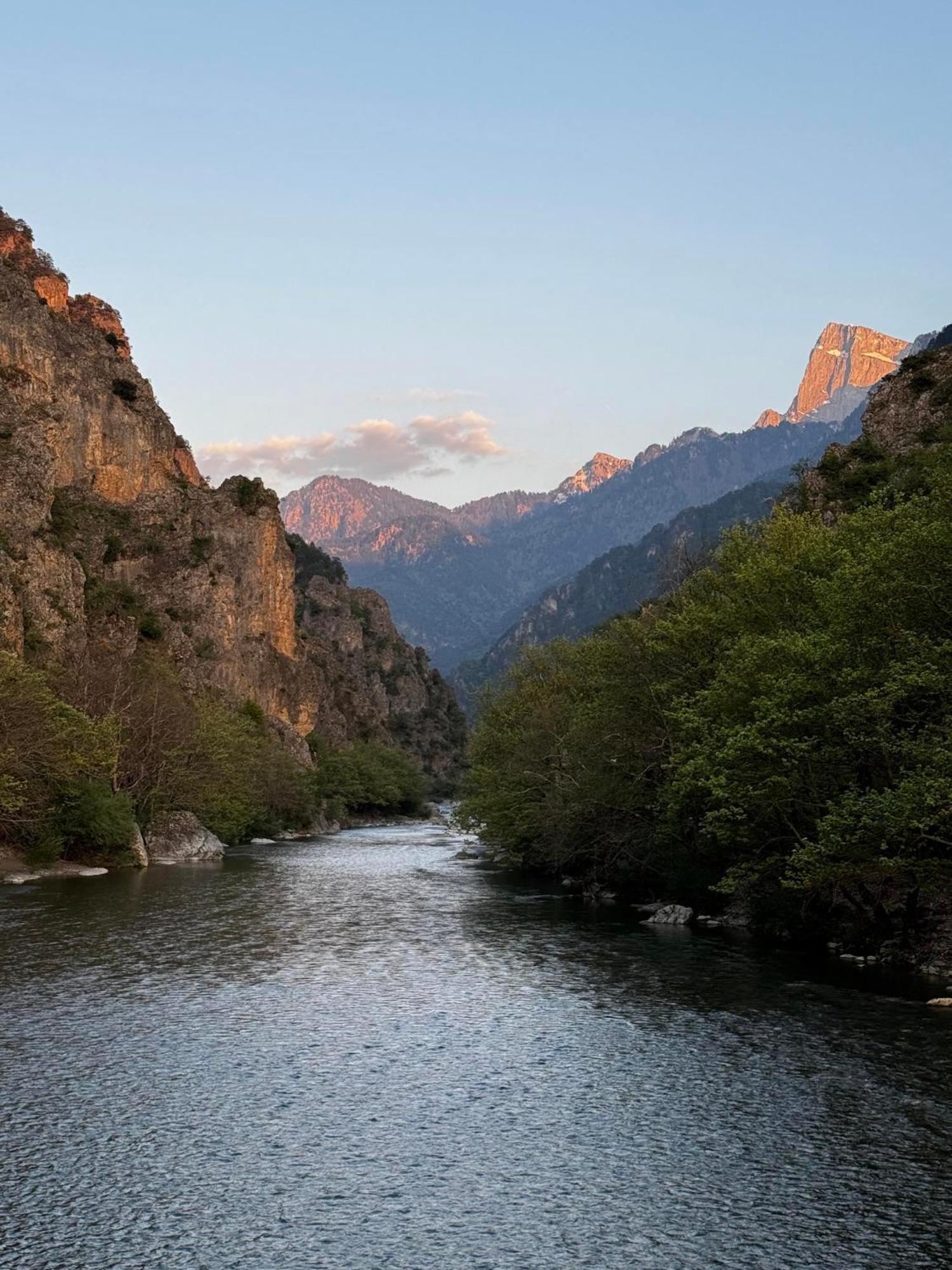 קוניטסה Mountain Serenity מראה חיצוני תמונה