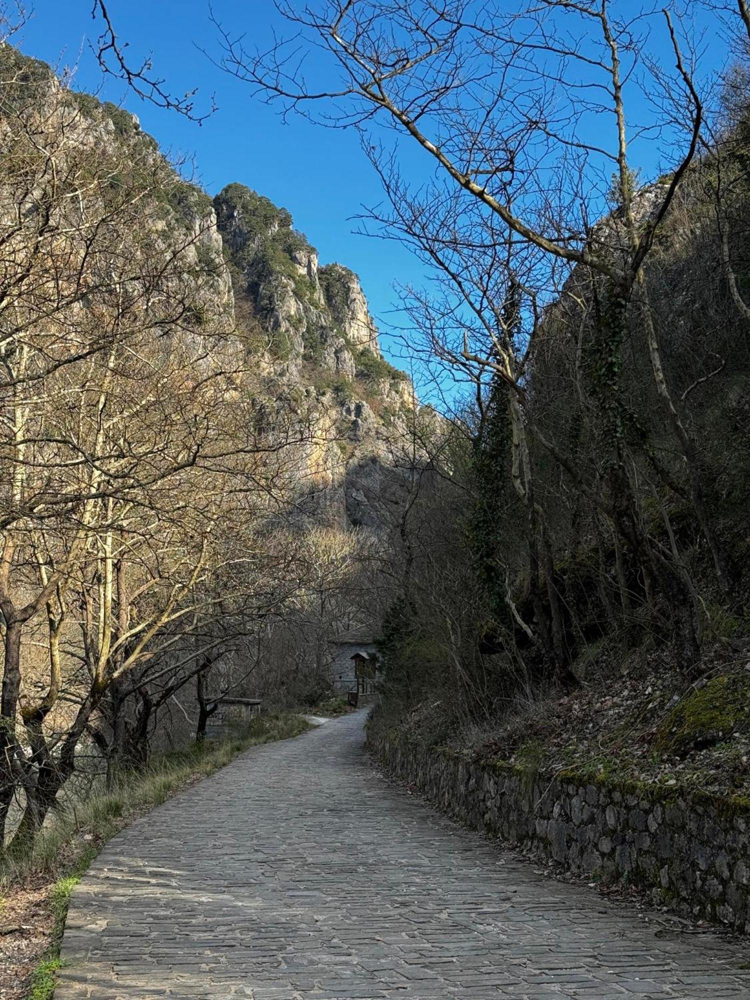 קוניטסה Mountain Serenity מראה חיצוני תמונה